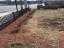 mulch-2